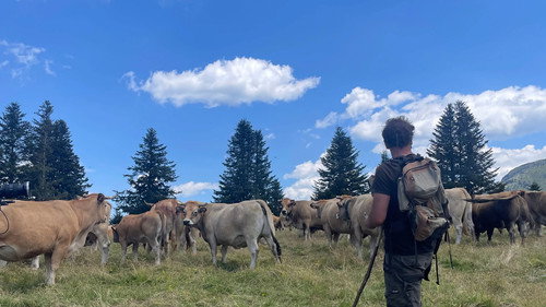 France's Shepherds: United for More Rights still