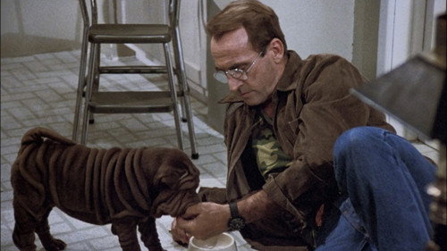Hill Street Blues Season 6 Episode 5 - Somewhere Over the Rambo