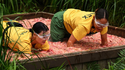 I'm a Celebrity...Get Me Out of Here! Season 25 Episode 7 - Tents of Torment