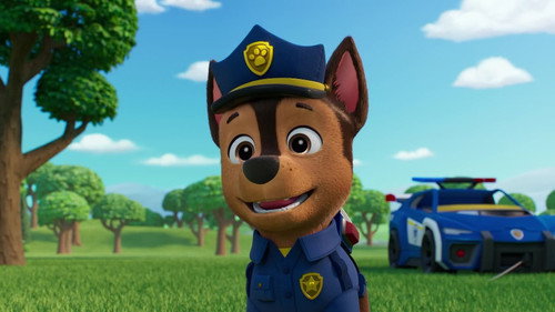 PAW Patrol Season 12 Episode 11 - Search & Rescue: Pups Save the Bike Race