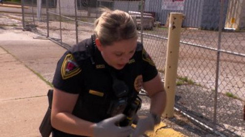 Cops Season 36 Episode 15 - Identity Crisis