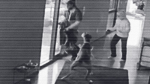 Crimes Gone Viral Season 1 Episode 11 - Watch Dogs
