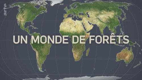 Mapping the World Season 31 Episode 13 - A World of Forests