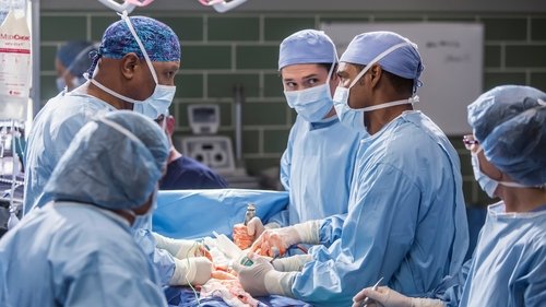 Grey's Anatomy Season 12 Episode 13 - All Eyez on Me