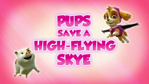 PAW Patrol Season 5 Episode 9 - Pups Save a High-Flying Skye