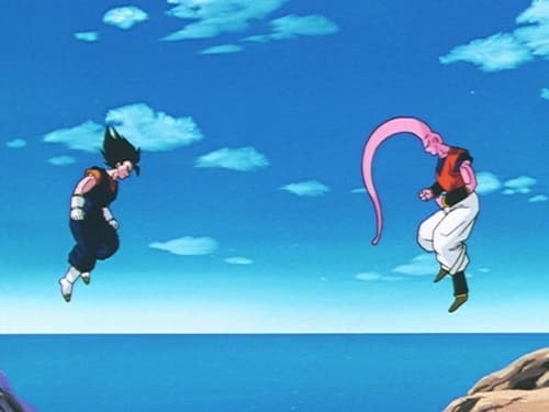 Dragon Ball Z Season 9 Episode 16 - Meet Vegito