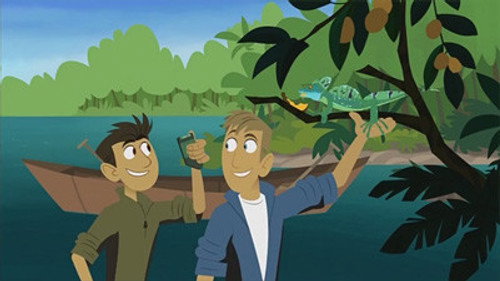 Wild Kratts Season 1 Episode 16 - Walk On the Wetside