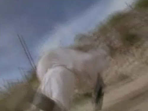 Power Rangers Season 10 Episode 16 - The Lone Wolf