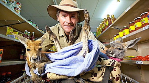 Natural World Season 32 Episode 7 - Kangaroo Dundee (1)