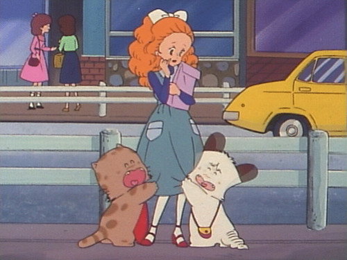 The Cat and Dog’s Failure still