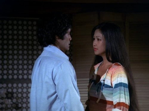 Hawaii Five-O Season 11 Episode 6 - A Distant Thunder