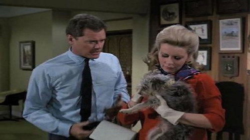 I Dream of Jeannie Season 4 Episode 6 - Djinn, Djinn, Go Home
