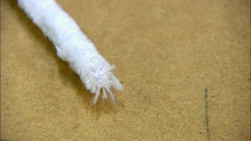 How It's Made Season 18 Episode 6 - Pipe Cleaners, Blue Stilton Cheese, Smart Electric Meters, Telescopes