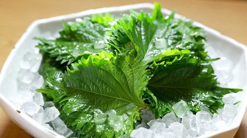 Trails to Oishii Tokyo Season 6 Episode 15 - SHISO