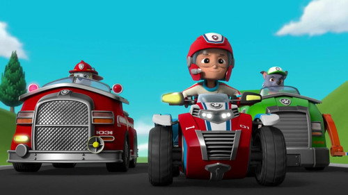 PAW Patrol Season 6 Episode 24 - Pups Save the Birdwatching Turbots