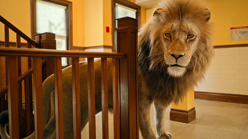 Jane Season 2 Episode 5 - Panthera leo