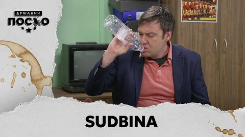 2313 Sudbina still