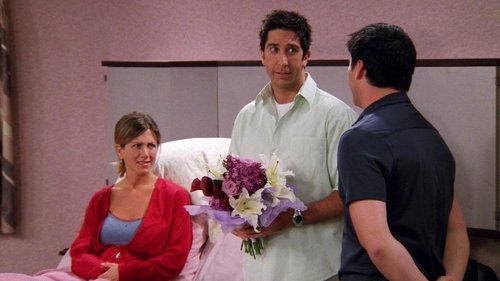 undefined Season 9 Episode 1 - The One Where No One Proposes