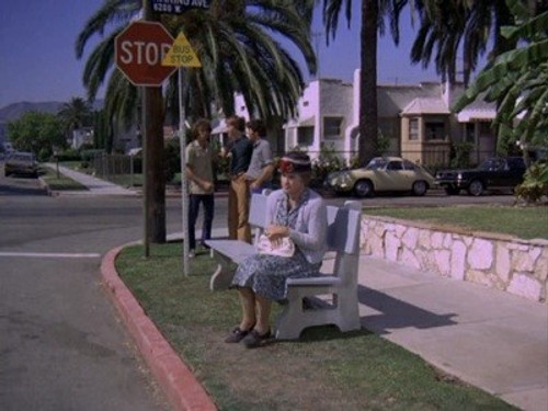 Adam-12 Season 3 Episode 3 - Log 095: Purse Snatcher