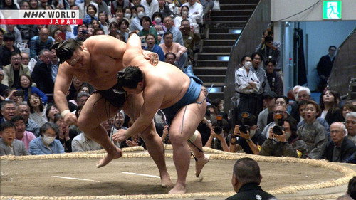 GRAND SUMO Highlights Season 35 Episode 13 - Day 13
