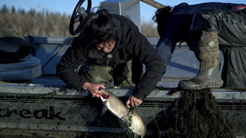 Life Below Zero Season 7 Episode 2 - Pride and Power