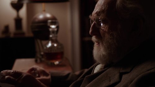 Law & Order: Special Victims Unit Season 14 Episode 8 - Lessons Learned