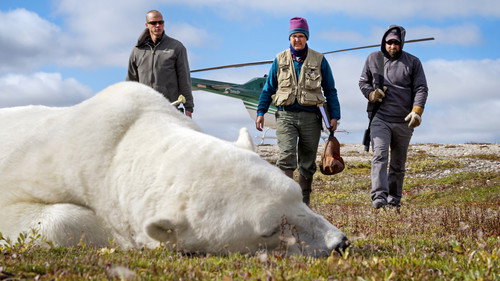 The Hunt Season 1 Episode 7 - Living with Predators (Conservation)