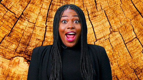 Breaking News: No Laugh Newsroom Season 3 Episode 17 - Welcome to Bug News