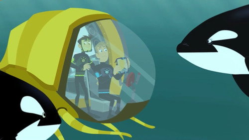 Wild Kratts Season 4 Episode 21 - This Orca Likes Sharks