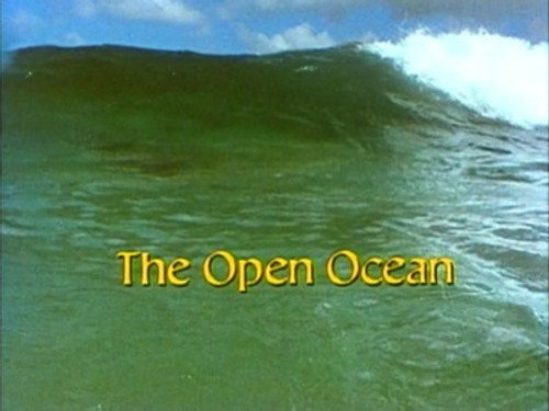 The Living Planet Season 1 Episode 11 - The Open Ocean