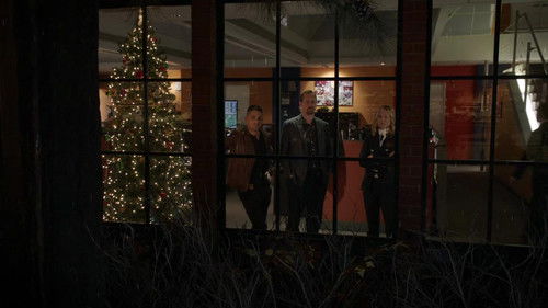 NCIS Season 17 Episode 10 - The North Pole