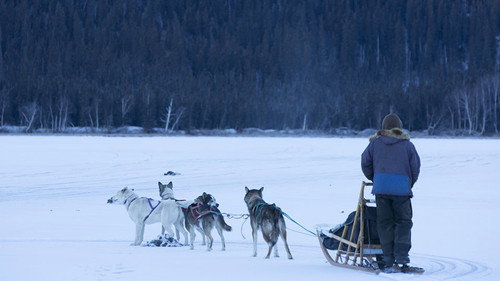 Life Below Zero Season 9 Episode 3 - The 11th Hour
