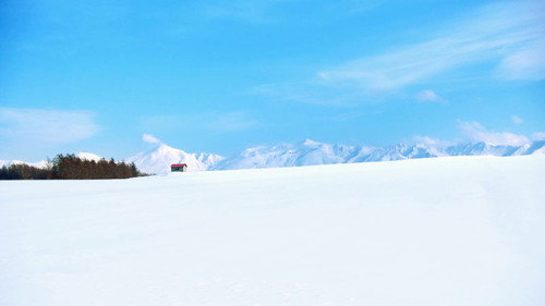 Wild Hokkaido! Season 4 Episode 8 - Hills of Biei in Winter