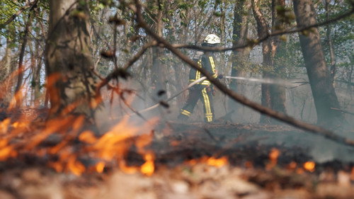 Feuer & Flamme Season 5 Episode 6 - Forest in flames