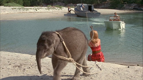 Flipper Season 1 Episode 25 - Flipper and the Elephant (2)