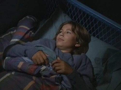 Home Improvement Season 5 Episode 8 - Room Without a View