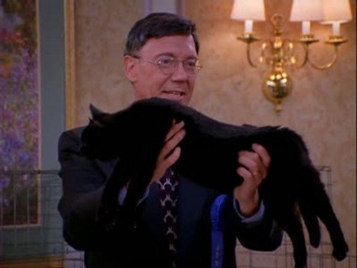 Sabrina, the Teenage Witch Season 1 Episode 19 - Cat Showdown