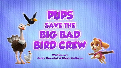 PAW Patrol Season 7 Episode 9 - Pups Save a Big Bad Bird Crew
