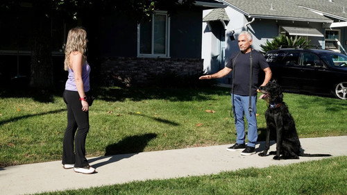 Cesar Millan: Better Human, Better Dog Season 5 Episode 12 - When Panic Attacks