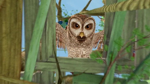 The Tale of The Scare Owl still