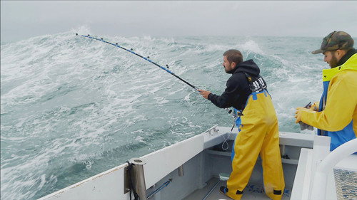 Wicked Tuna Season 10 Episode 8 - Hold Fast