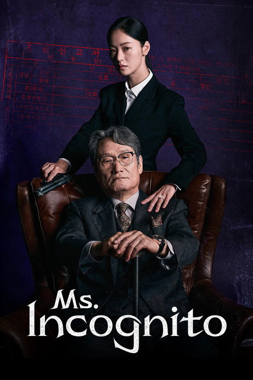 Ms. Incognito poster