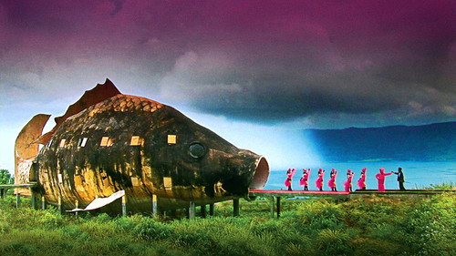 Point of View Season 27 Episode 13 - The Act of Killing