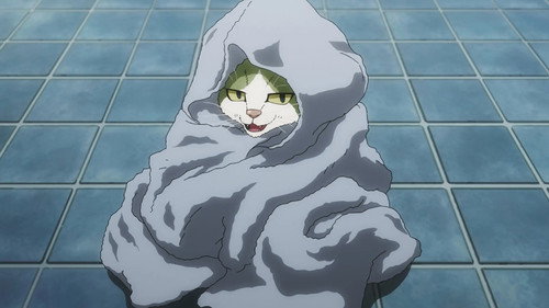 Commeowndo still