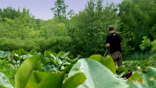 MeatEater Season 3 Episode 12 - Swamp Stew: Michigan Bowfishing