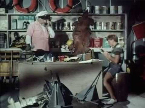 Flipper Season 2 Episode 20 - Flipper and the Shark Cage