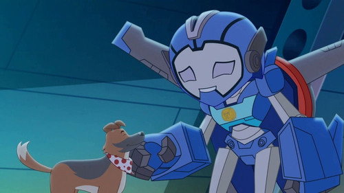 Transformers: Rescue Bots Academy Season 1 Episode 21 - Dog Stray Afternoon