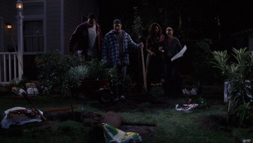 Secret Garden still