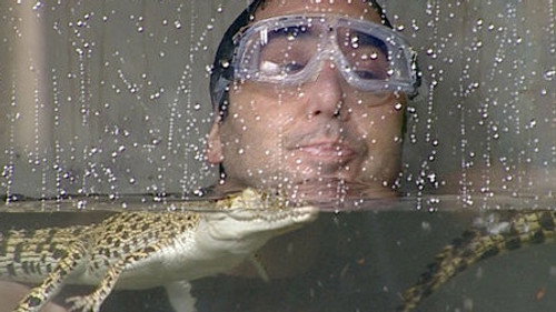 I'm a Celebrity...Get Me Out of Here! Season 6 Episode 2 - Flash Flood
