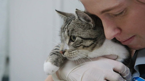 SPCA Rescue Season 1 Episode 5 - Episode 5